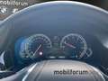 BMW 750 Li xDrive Lang Massage StandHZG 21 Zoll Gris - thumbnail 7