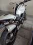 Ducati Monster 696 plus ( PERMUTO) Bianco - thumbnail 2