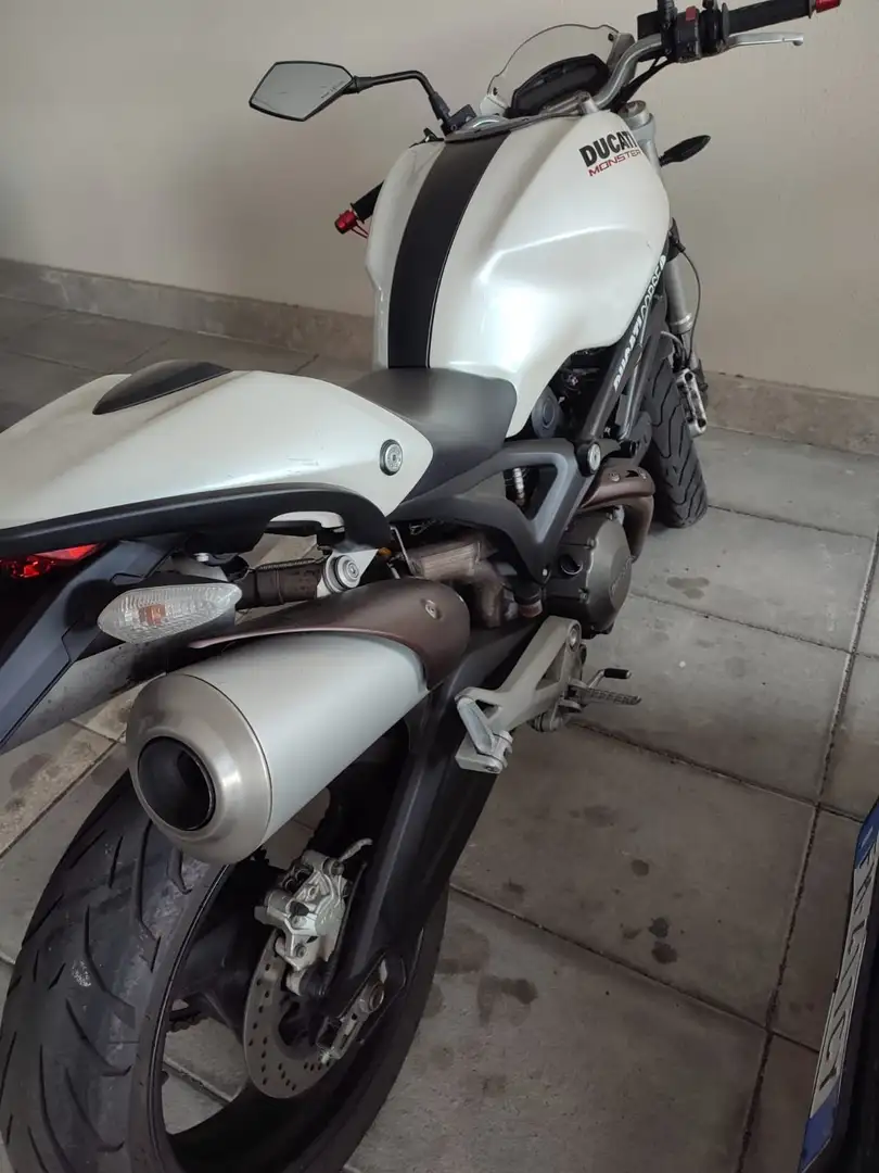 Ducati Monster 696 plus ( PERMUTO) Bianco - 2