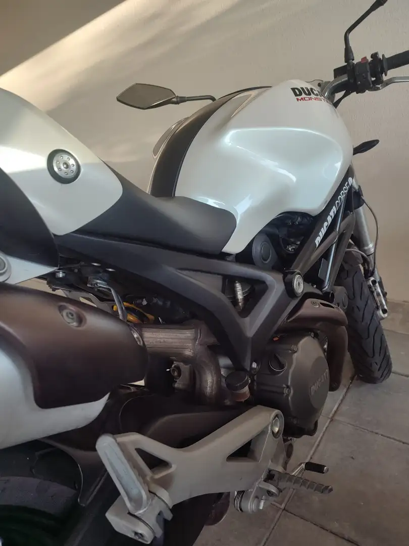 Ducati Monster 696 plus Bianco - 2