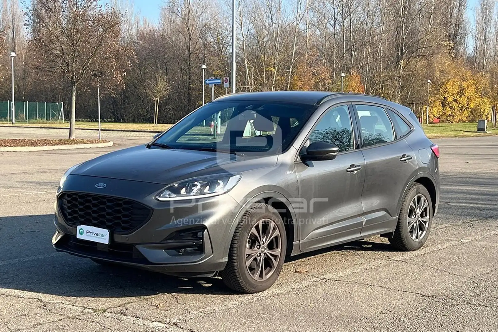 Ford Kuga Kuga 1.5 EcoBlue 120 CV aut. 2WD ST-Line Argento - 1