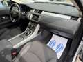Land Rover Range Rover Evoque 2.0 TD4 5p. Pure Bianco - thumbnail 14