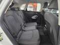 Audi Q3 35 2.0 tdi Business quattro s-tronic Bianco - thumbnail 21