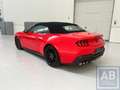 Ford Mustang * Mustang V8 / Cabrio / Automaat / Dark Pack * Rood - thumbnail 15