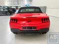 Ford Mustang * Mustang V8 / Cabrio / Automaat / Dark Pack * Rood - thumbnail 19