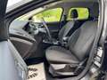 Ford Focus Focus SW 1.0 Titanium 125cv Keyless/GPS/Carplay/ Grijs - thumbnail 13