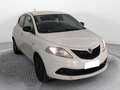 Lancia Ypsilon 1.2 Gold ecochic Gpl 69cv my19 - thumbnail 3