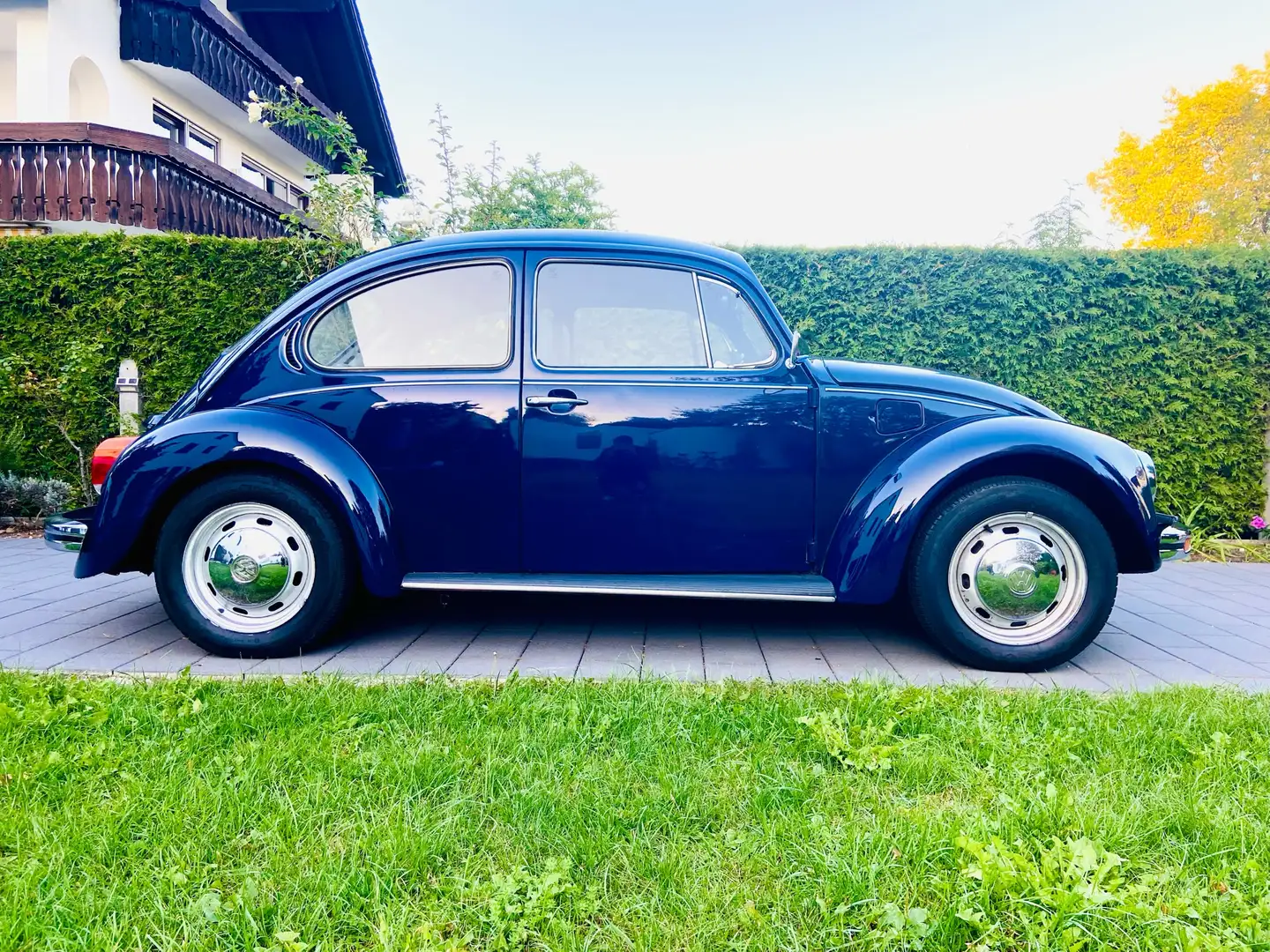 Volkswagen Käfer Albastru - 2