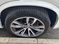 BMW X5 xDrive 40dA Blanco - thumbnail 22