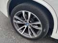 BMW X5 xDrive 40dA Blanco - thumbnail 24