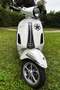 Vespa Primavera 50 2 Takt Motor Weiß - thumbnail 7