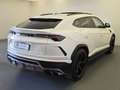 Lamborghini Urus 4.0 Bianco - thumbnail 2