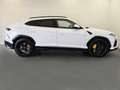 Lamborghini Urus 4.0 Bianco - thumbnail 6