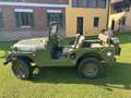 Jeep Willys Verde - thumbnail 2