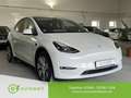 Tesla Model Y Long Range Dual Motor 78,8kWh AHK Matrix Ryzen Wit - thumbnail 1
