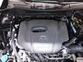 Mazda 2 e Homura KLIMAAUTOMATIK + LENKRADHEIZUNG Schwarz - thumbnail 12