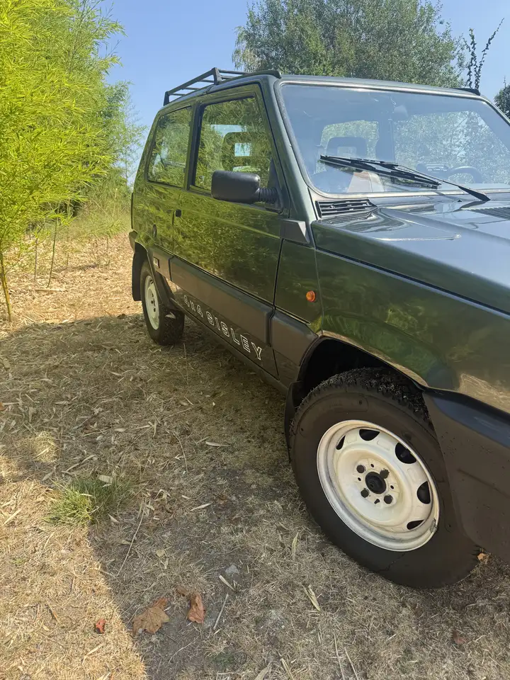 Fiat Panda 4x4 Sisley, foto 6