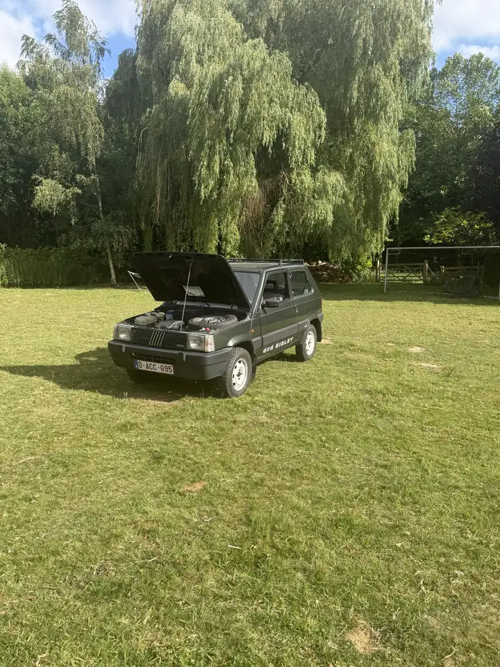 Fiat Panda 4x4 Sisley, foto 3