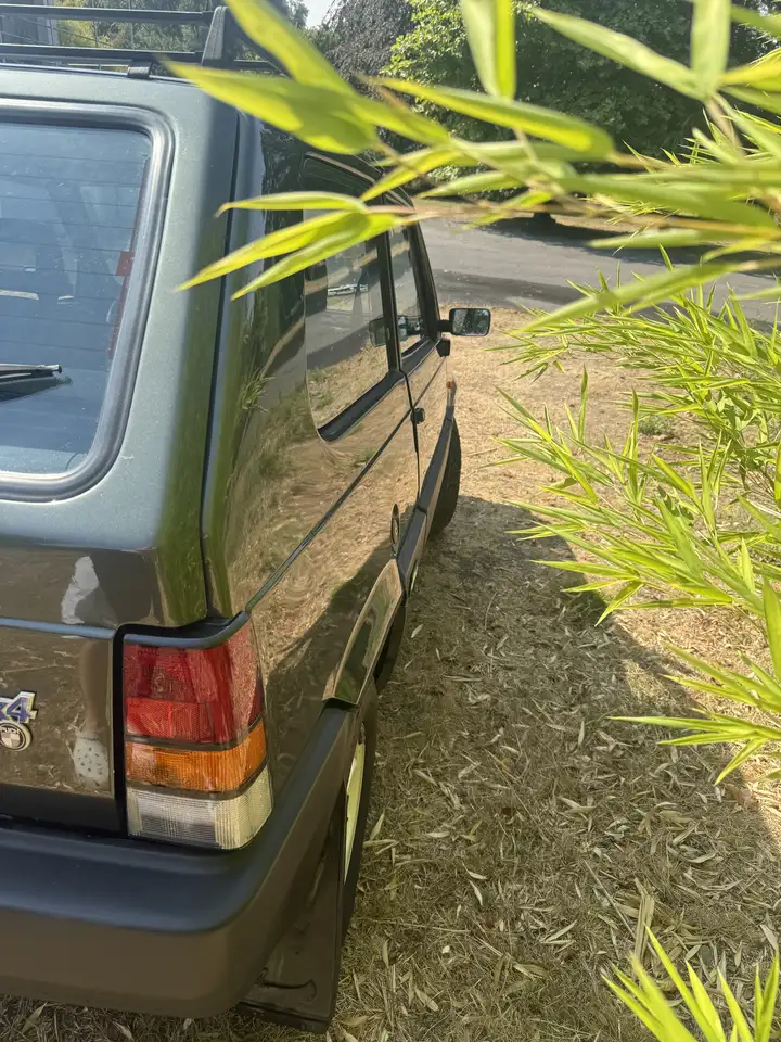 Fiat Panda 4x4 Sisley, foto 12