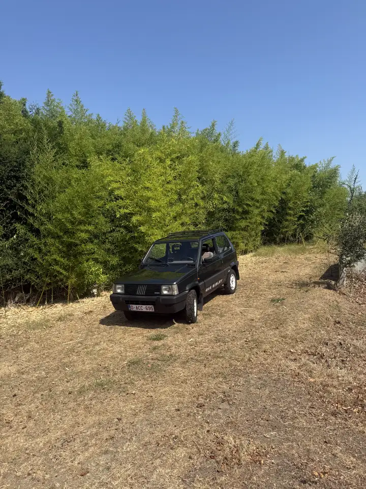 Fiat Panda 4x4 Sisley, foto 1