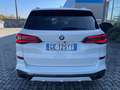 BMW X5 Xdrive25d Msport auto CERCHI 21/SERVICE BMW Blanco - thumbnail 13