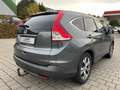 Honda CR-V Executive 4WD 2.2*PANO*KAMERA*LEDER*NAVI*LM Grau - thumbnail 12