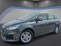 Ford S-Max S-MAX Titanium 2.0 EcoBlue SCR Aut. *Kamera*AhK... Grau - thumbnail 2