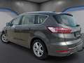 Ford S-Max S-MAX Titanium 2.0 EcoBlue SCR Aut. *Kamera*AhK... Grau - thumbnail 6