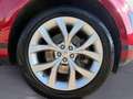 Land Rover Range Rover Evoque SE P250 Black Pack Winterpake Rot - thumbnail 11