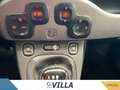 Fiat Panda 1.0 firefly hybrid s&s 70cv Sport Rouge - thumbnail 16
