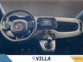 Fiat Panda 1.0 firefly hybrid s&s 70cv Sport Rouge - thumbnail 8