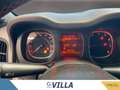 Fiat Panda 1.0 firefly hybrid s&s 70cv Sport Rouge - thumbnail 12