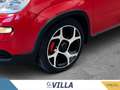 Fiat Panda 1.0 firefly hybrid s&s 70cv Sport Rouge - thumbnail 7