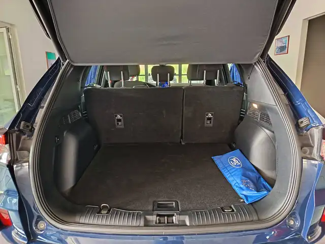 Ford Kuga view 8