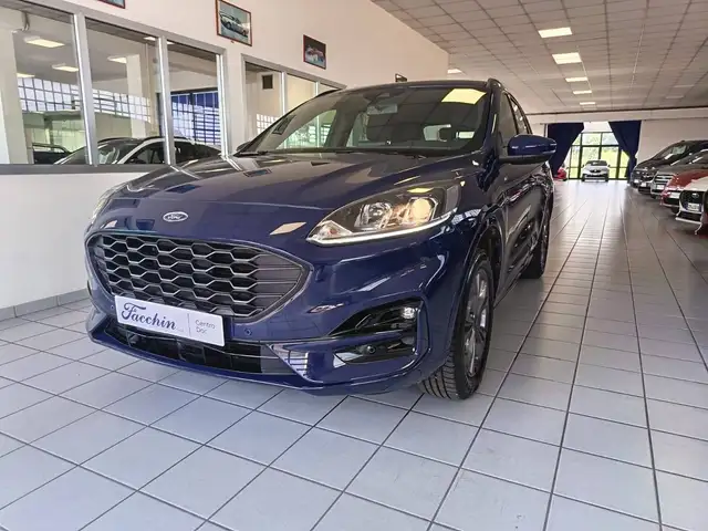 2023 Ford Kuga in Blue for sale