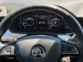 Skoda Kamiq 1.6 TDI Ambition ASSIST+LED+NAVI+RADAR Weiß - thumbnail 15