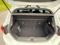 Ford Fiesta Fiesta ST-Line 1,0 EcoBoost Start/Stop ST-Line Weiß - thumbnail 9