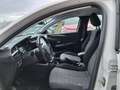 Opel Corsa 1.2 Edition OK NEO PATENTATI Bianco - thumbnail 8