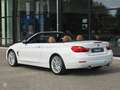 BMW 435 435i Cabrio Sportaut. Luxury - vol! Blanc - thumbnail 19