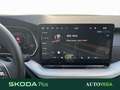 Skoda Octavia wagon 2.0 tdi executive 150cv dsg Gris - thumbnail 9