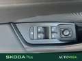 Skoda Octavia wagon 2.0 tdi executive 150cv dsg Gris - thumbnail 13