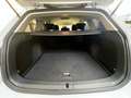 Volkswagen Golf Variant 1.6 TDI 115 CV DSG Executive BlueMotion Tech. Blanc - thumbnail 12
