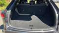 Lexus RX 450h 450h+ Luxe 4WD MY24 - thumbnail 9