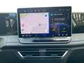 Volkswagen Tiguan R-Line 2,0 TSI DSG 4M+Pano+AHK+Matrix+ACC Weiß - thumbnail 12