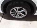 Volkswagen T-Roc 1,5 TSI DSG R-Line AHK LED Navi Kamera Weiß - thumbnail 6
