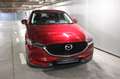 Mazda CX-5 2.0 Skyactiv-G Evolution 2WD 121kW Rojo - thumbnail 2