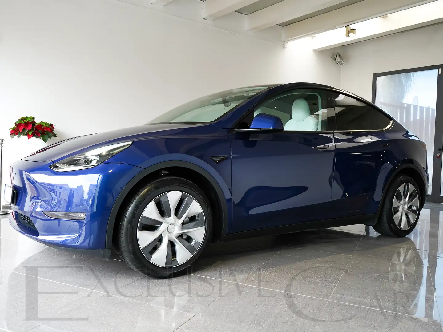 Tesla Model Y Model Y Long Range Dual Motor awd Blu/Azzurro - 1