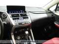 Lexus NX 300 h 2.5 Premium 4wd cvt Blanc - thumbnail 12