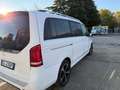 Mercedes-Benz EQV 300 Long Bianco - thumbnail 8