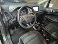 Ford EcoSport 1.0 EcoBoost Titanium | Clima | Navi | Cruise | St Gris - thumbnail 14